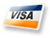 Visa Card